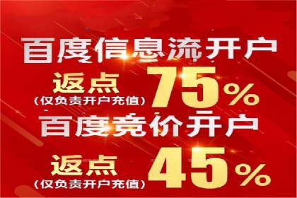 实战派经验分享：百度竞价代理成功案例揭秘